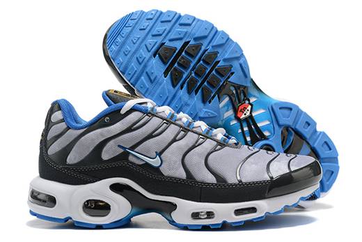 chaussure homme nike air max tn original